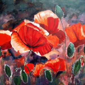 Red Poppies