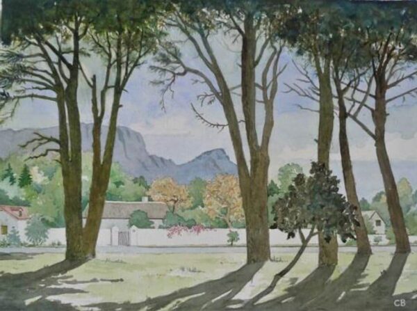 Table Mountain from Constantia